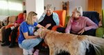 Terapias con perros, algo más que acompañamiento  Terapias con perros, algo más que acompañamiento
