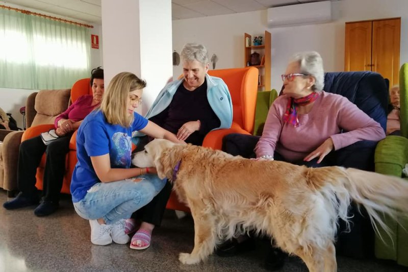 Terapias con perros, algo más que acompañamiento  Terapias con perros, algo más que acompañamiento