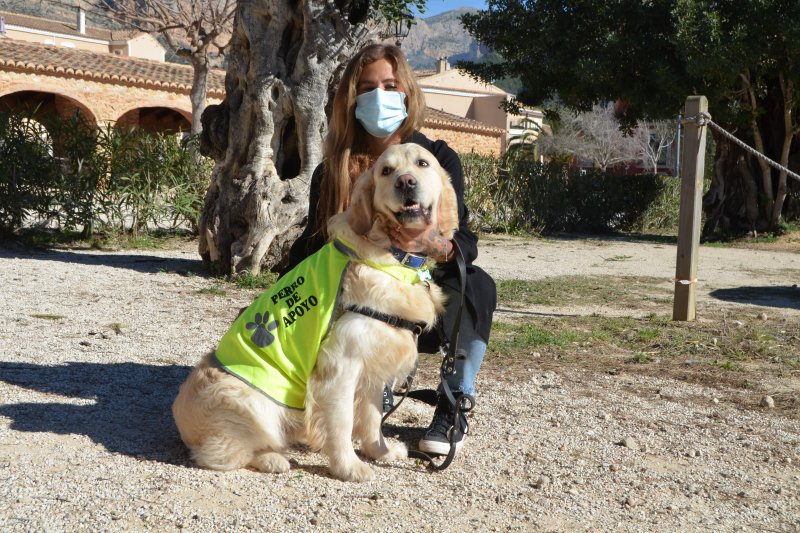 Terapias con perros, algo más que acompañamiento  Terapias con perros, algo más que acompañamiento
