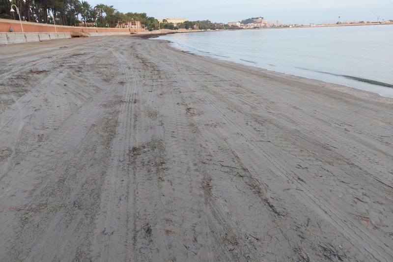 Las máquinas no paran de recoger algas en Dénia  Las máquinas no paran de recoger algas en Dénia