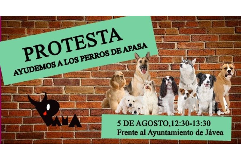 Los animalistas convocan una protesta en Xàbia para salvar a la protectora APASA Los animalistas convocan una protesta en Xàbia para salvar a la protectora APASA