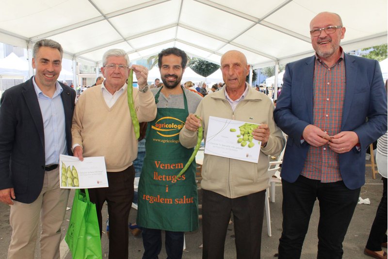 Pastor i Torres guanyen els concursos de la fava més llarga i amb més gallons a Poble Nou Pastor i Torres guanyen els concursos de la fava més llarga i amb més gallons a Poble Nou