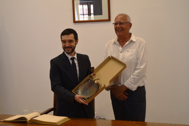 El ministro de Consumo reclama la unión de todas las administraciones ante la problemática de los pisos turísticos  El ministro de Consumo reclama la unión de todas las administraciones ante la problemática de los pisos turísticos