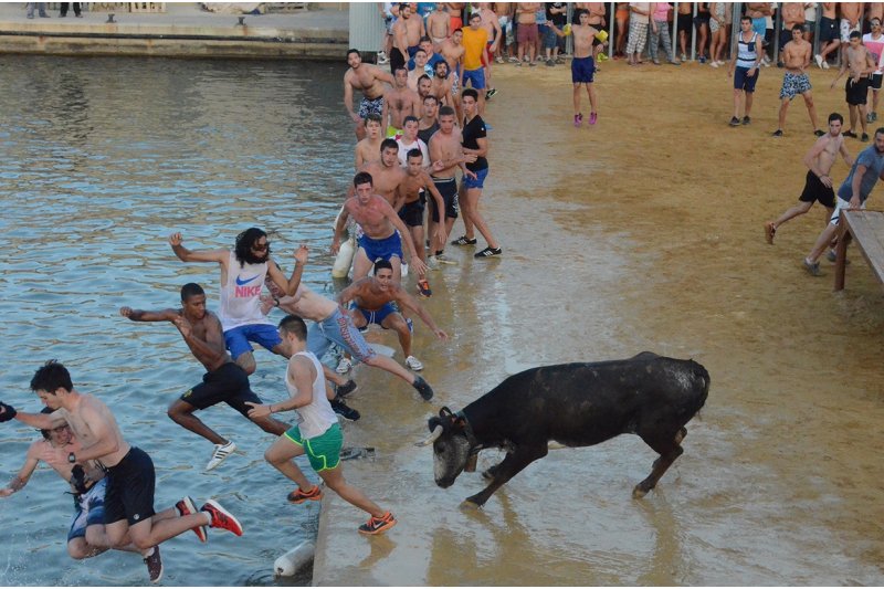 Bous a la mar recibirán un premio de la Generalitat Bous a la mar recibirán un premio de la Generalitat