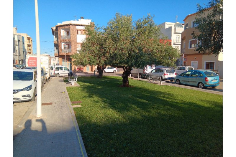 El projecte de la nova pista de bàsquet 3x3 en la zona de Tossals inicia l’execució amb el trasplantament de l’arbrat al parc El projecte de la nova pista de bàsquet 3x3 en la zona de Tossals inicia l’execució amb el trasplantament de l’arbrat al parc