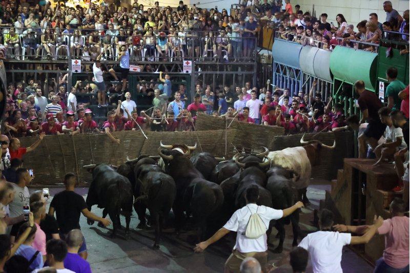 Un informe confirma que el muerto en los bous al carrer de Pedreguer no resultó empitonado Un informe confirma que el muerto en los bous al carrer de Pedreguer no resultó empitonado