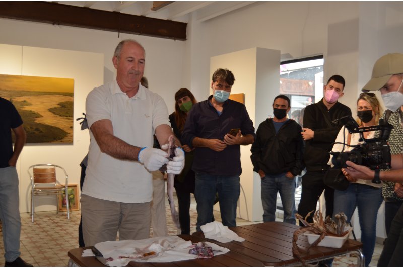 Mucho donde escoger Mucho donde escoger