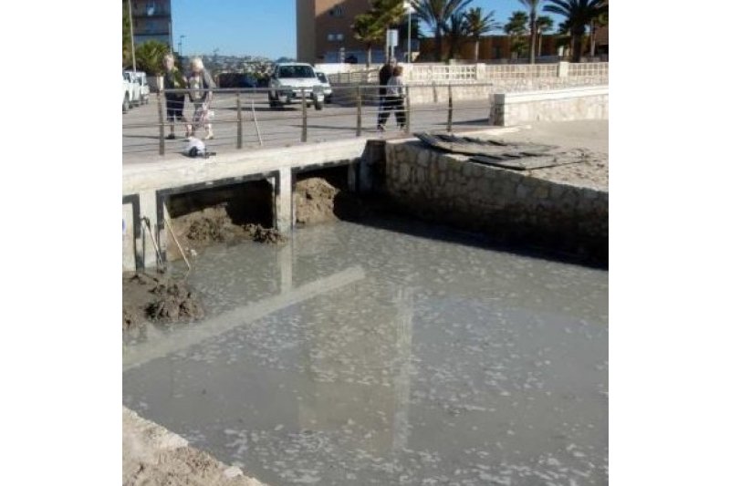 La brigada verde denuncia ante el Seprona la muerte de animales en el barranco del Quisi  La brigada verde denuncia ante el Seprona la muerte de animales en el barranco del Quisi