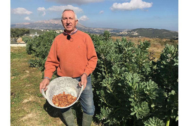 Els mitjafaves se’n van de festa Els mitjafaves se’n van de festa