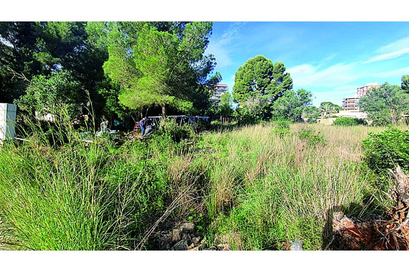 Los vecinos piden que se paralicen los trabajos de la antena de telefonía móvil de Les Rotes Los vecinos piden que se paralicen los trabajos de la antena de telefonía móvil de Les Rotes