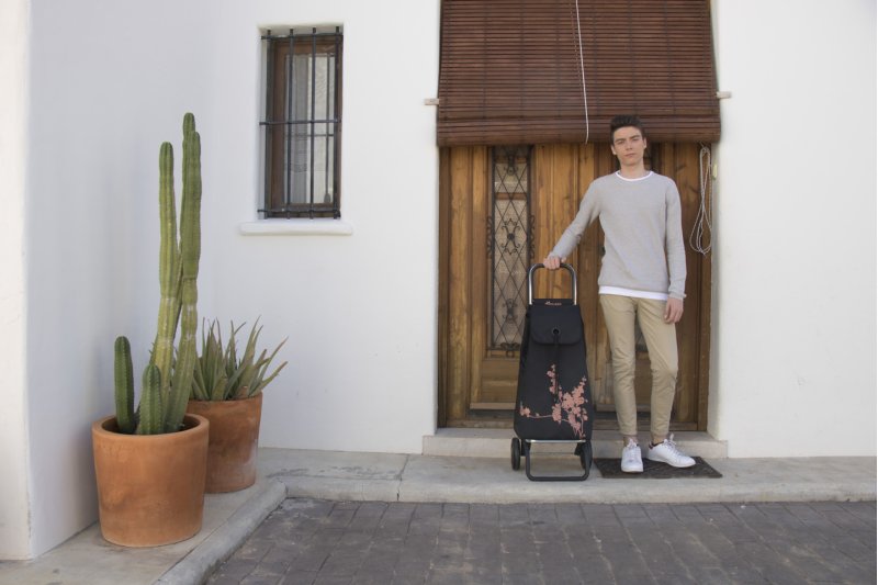 Un laboratorio alemán sitúa el carro de compra Rolser RG al frente de los mejores del mundo Un laboratorio alemán sitúa el carro de compra Rolser RG al frente de los mejores del mundo
