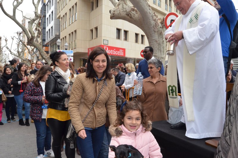 La amenaza de lluvia no frena la bendición de animales en Dénia La amenaza de lluvia no frena la bendición de animales en Dénia