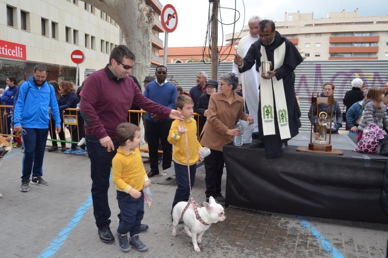 La amenaza de lluvia no frena la bendición de animales en Dénia La amenaza de lluvia no frena la bendición de animales en Dénia