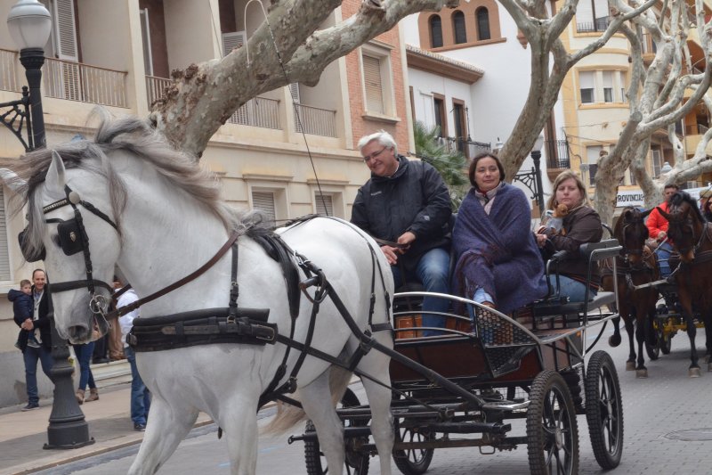 La amenaza de lluvia no frena la bendición de animales en Dénia La amenaza de lluvia no frena la bendición de animales en Dénia