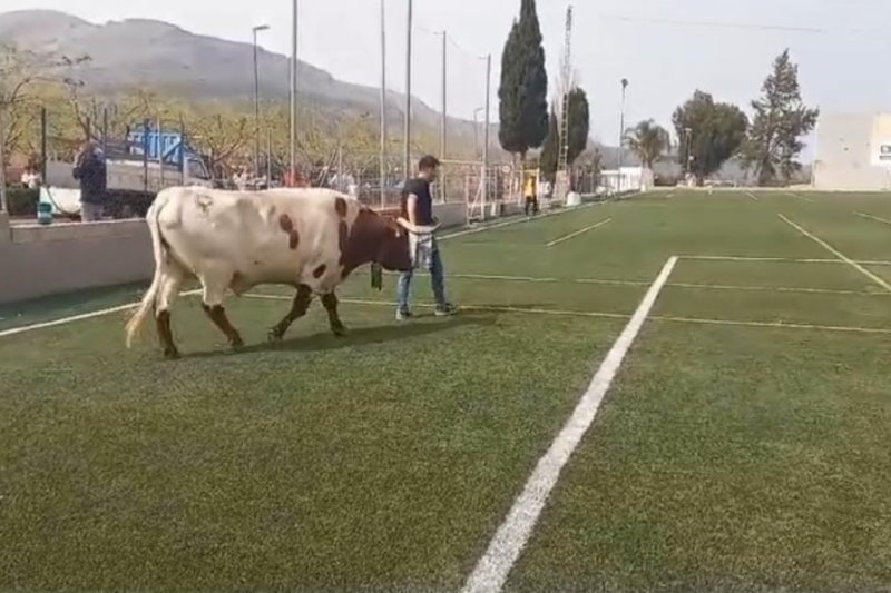 La festa del futbol i la Gran Cagada de l’Orba reviu el millor ambient La festa del futbol i la Gran Cagada de l’Orba reviu el millor ambient