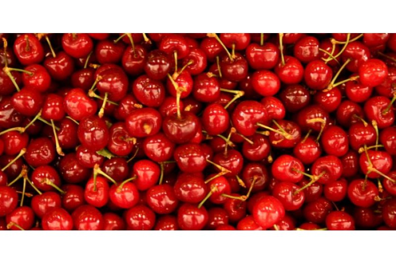 La Fiesta de la Cereza 2019 tendrá como escenario Benissili el próximo fin de semana La Fiesta de la Cereza 2019 tendrá como escenario Benissili el próximo fin de semana