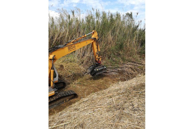 Medio Ambiente limpia la limpieza del Barranc de Fusta en Ondara Medio Ambiente limpia la limpieza del Barranc de Fusta en Ondara