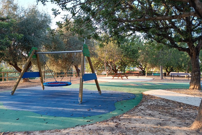 El projecte de millora de l’arbratge en els espais verds del casc urbà de Pego arriba al seu equador   El projecte de millora de l’arbratge en els espais verds del casc urbà de Pego arriba al seu equador