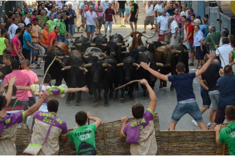 Es filtra per les xarxes la suspensió de les Festes de Juliol de Pedreguer i l'Ajuntament ho fa oficial Es filtra per les xarxes la suspensió de les Festes de Juliol de Pedreguer i l'Ajuntament ho fa oficial
