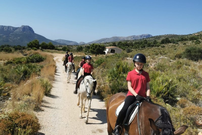 Rehabilitación terapéutica a lomos de un caballo Rehabilitación terapéutica a lomos de un caballo