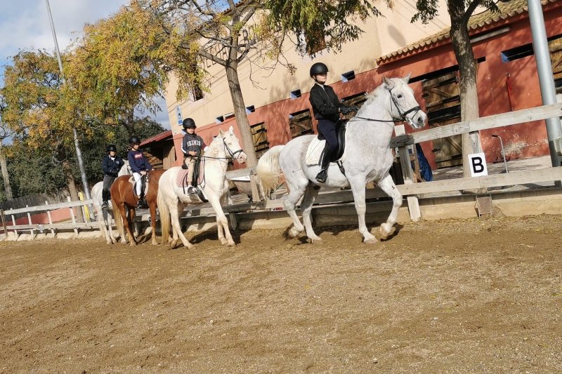 Rehabilitación terapéutica a lomos de un caballo Rehabilitación terapéutica a lomos de un caballo