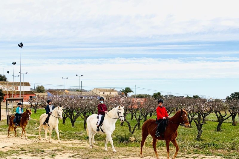 Rehabilitación terapéutica a lomos de un caballo Rehabilitación terapéutica a lomos de un caballo