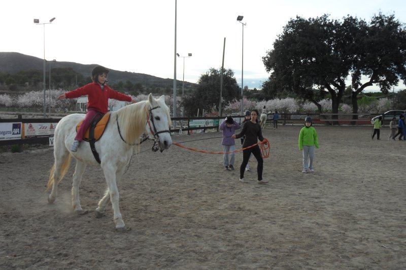 Rehabilitación terapéutica a lomos de un caballo Rehabilitación terapéutica a lomos de un caballo