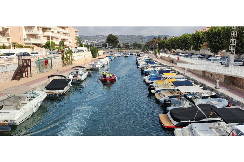 Afloran peces muertos sobre la superficie del Canal de la Fontana de Xàbia Afloran peces muertos sobre la superficie del Canal de la Fontana de Xàbia