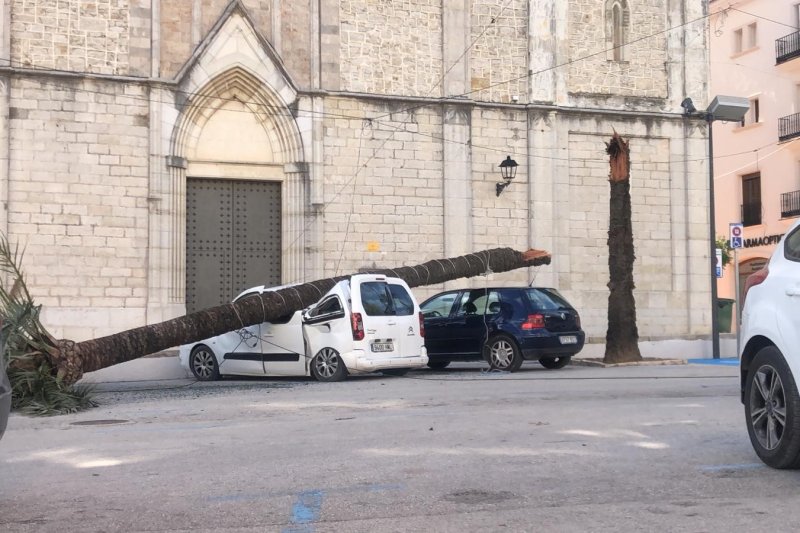 Un árbol derribado por el viento obliga a cortar la carretera Dénia a Xàbia Un árbol derribado por el viento obliga a cortar la carretera Dénia a Xàbia