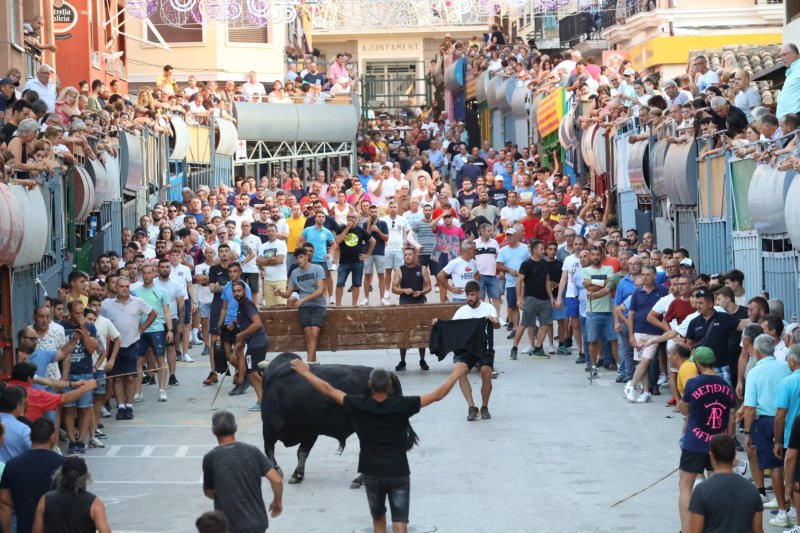 Benavent copa els premis del concurs de bous al carrer de Pedreguer Benavent copa els premis del concurs de bous al carrer de Pedreguer