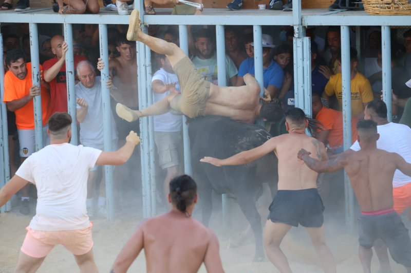Animada primera jornada de bous a la mar en Dénia Animada primera jornada de bous a la mar en Dénia
