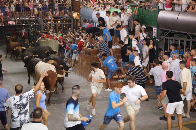 GALERIA de FOTOS de la NIT del PREGÓ de les FESTES de JULIOL de PEDREGUER GALERIA de FOTOS de la NIT del PREGÓ de les FESTES de JULIOL de PEDREGUER