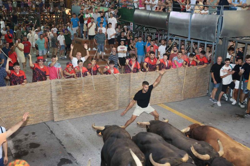 GALERIA de FOTOS de la NIT del PREGÓ de les FESTES de JULIOL de PEDREGUER GALERIA de FOTOS de la NIT del PREGÓ de les FESTES de JULIOL de PEDREGUER