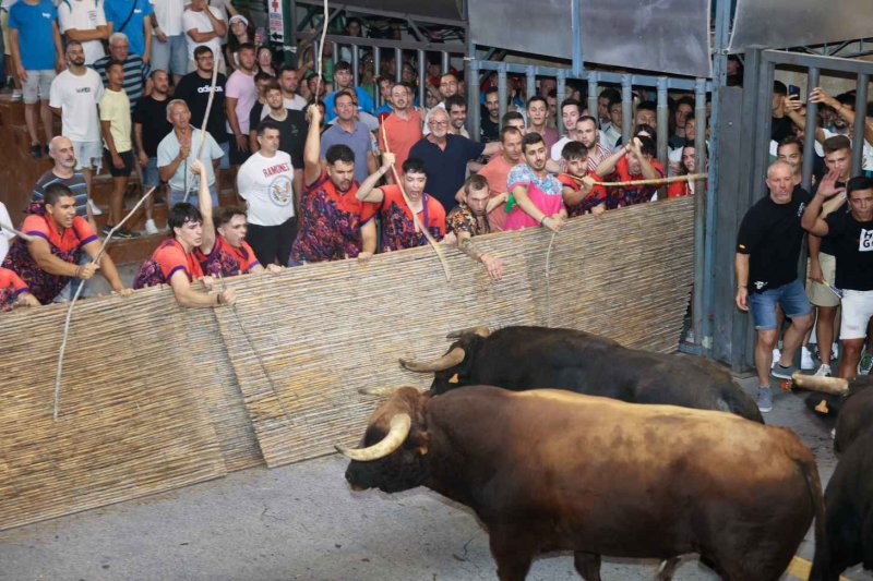 GALERIA de FOTOS de la NIT del PREGÓ de les FESTES de JULIOL de PEDREGUER GALERIA de FOTOS de la NIT del PREGÓ de les FESTES de JULIOL de PEDREGUER