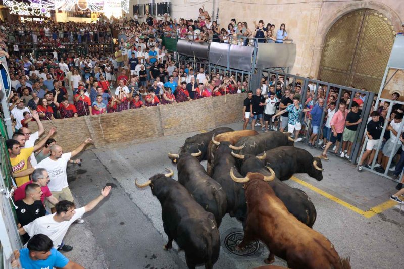 GALERIA de FOTOS de la NIT del PREGÓ de les FESTES de JULIOL de PEDREGUER GALERIA de FOTOS de la NIT del PREGÓ de les FESTES de JULIOL de PEDREGUER