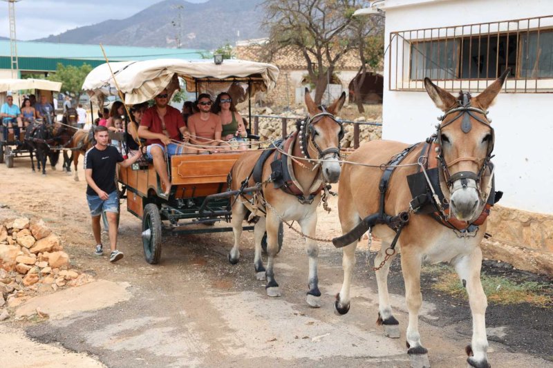 GALERIA de FOTOS de l’ENTRADA de la MURTA i PROGRAMA de FESTES de LLÍBER GALERIA de FOTOS de l’ENTRADA de la MURTA i PROGRAMA de FESTES de LLÍBER