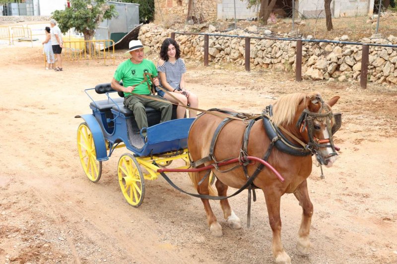 GALERIA de FOTOS de l’ENTRADA de la MURTA i PROGRAMA de FESTES de LLÍBER GALERIA de FOTOS de l’ENTRADA de la MURTA i PROGRAMA de FESTES de LLÍBER