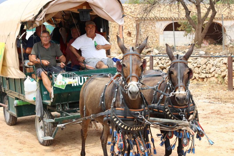 GALERIA de FOTOS de l’ENTRADA de la MURTA i PROGRAMA de FESTES de LLÍBER GALERIA de FOTOS de l’ENTRADA de la MURTA i PROGRAMA de FESTES de LLÍBER