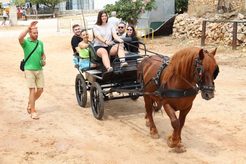 GALERIA de FOTOS de l’ENTRADA de la MURTA i PROGRAMA de FESTES de LLÍBER GALERIA de FOTOS de l’ENTRADA de la MURTA i PROGRAMA de FESTES de LLÍBER