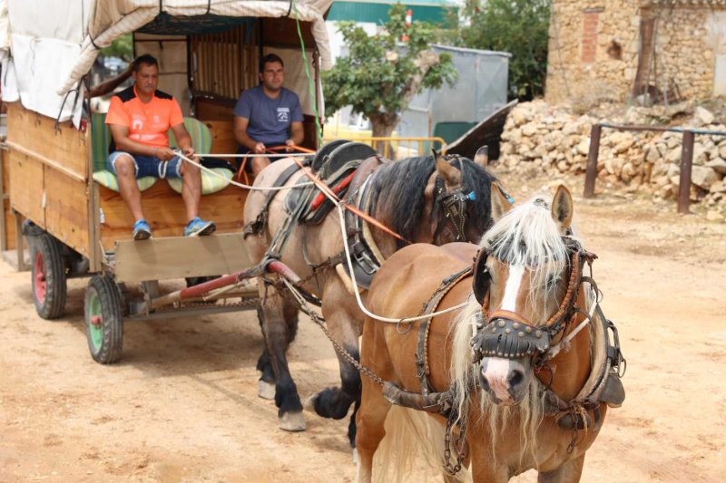 GALERIA de FOTOS de l’ENTRADA de la MURTA i PROGRAMA de FESTES de LLÍBER GALERIA de FOTOS de l’ENTRADA de la MURTA i PROGRAMA de FESTES de LLÍBER