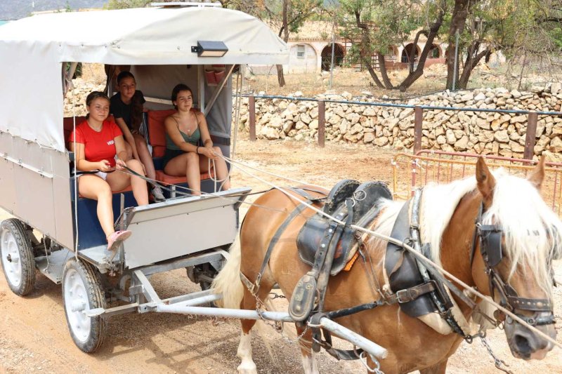 GALERIA de FOTOS de l’ENTRADA de la MURTA i PROGRAMA de FESTES de LLÍBER GALERIA de FOTOS de l’ENTRADA de la MURTA i PROGRAMA de FESTES de LLÍBER