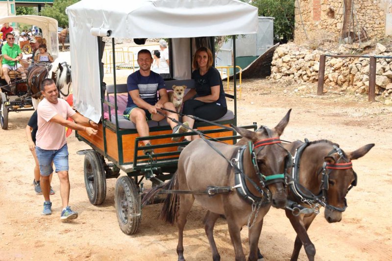 GALERIA de FOTOS de l’ENTRADA de la MURTA i PROGRAMA de FESTES de LLÍBER GALERIA de FOTOS de l’ENTRADA de la MURTA i PROGRAMA de FESTES de LLÍBER