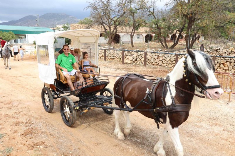 GALERIA de FOTOS de l’ENTRADA de la MURTA i PROGRAMA de FESTES de LLÍBER GALERIA de FOTOS de l’ENTRADA de la MURTA i PROGRAMA de FESTES de LLÍBER