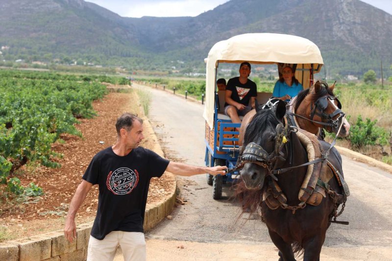 GALERIA de FOTOS de l’ENTRADA de la MURTA i PROGRAMA de FESTES de LLÍBER GALERIA de FOTOS de l’ENTRADA de la MURTA i PROGRAMA de FESTES de LLÍBER