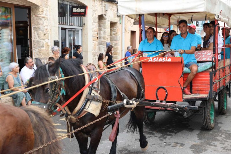GALERIA de FOTOS de l’ENTRADA de la MURTA i PROGRAMA de FESTES de LLÍBER GALERIA de FOTOS de l’ENTRADA de la MURTA i PROGRAMA de FESTES de LLÍBER