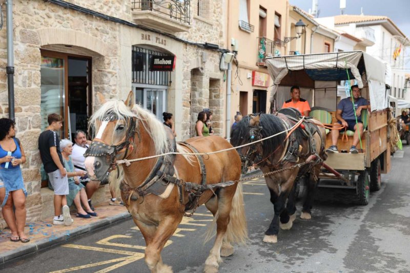 GALERIA de FOTOS de l’ENTRADA de la MURTA i PROGRAMA de FESTES de LLÍBER GALERIA de FOTOS de l’ENTRADA de la MURTA i PROGRAMA de FESTES de LLÍBER