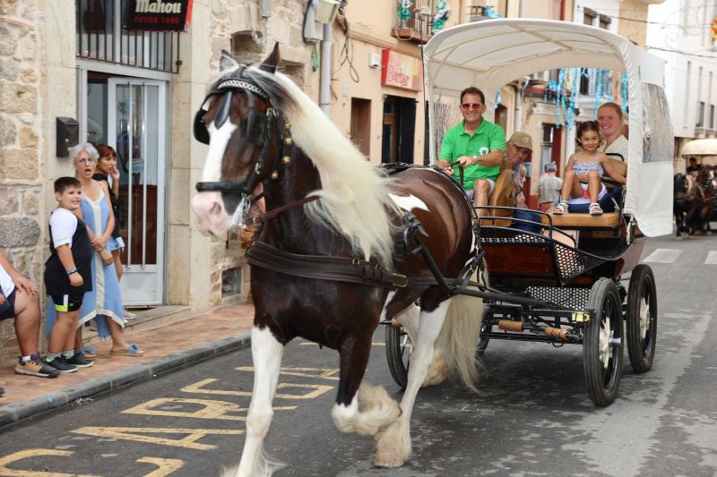 GALERIA de FOTOS de l’ENTRADA de la MURTA i PROGRAMA de FESTES de LLÍBER GALERIA de FOTOS de l’ENTRADA de la MURTA i PROGRAMA de FESTES de LLÍBER