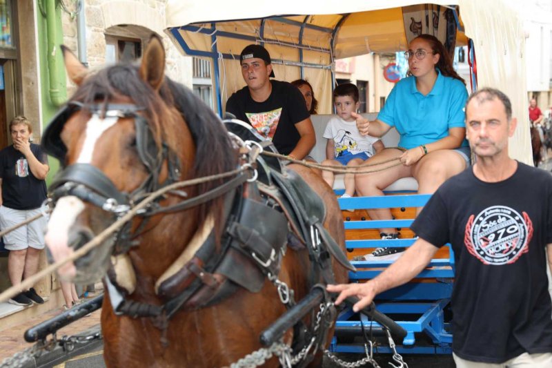 GALERIA de FOTOS de l’ENTRADA de la MURTA i PROGRAMA de FESTES de LLÍBER GALERIA de FOTOS de l’ENTRADA de la MURTA i PROGRAMA de FESTES de LLÍBER