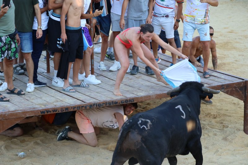 Animada primera jornada de bous a la mar en Dénia Animada primera jornada de bous a la mar en Dénia