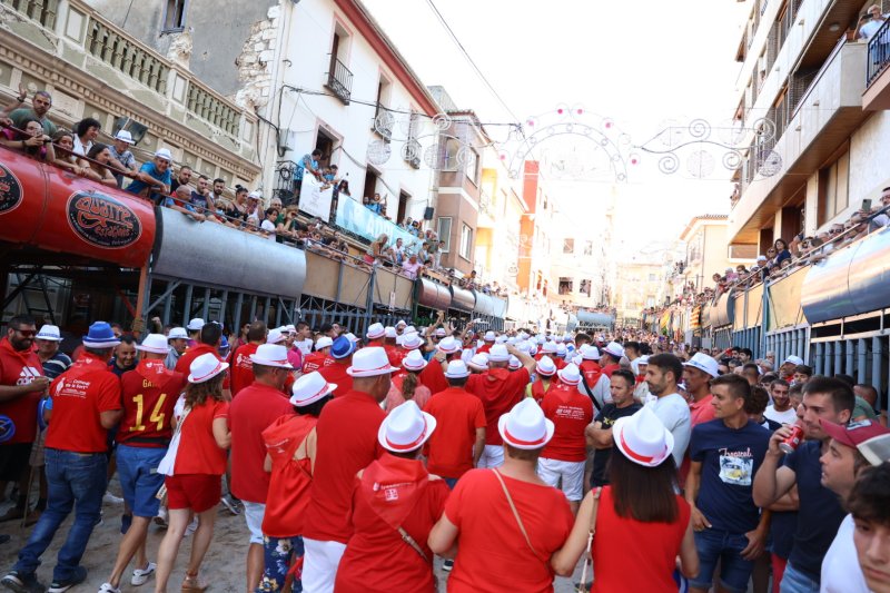 Passió desbordada amb els bous serrils de les Festes de Pedreguer Passió desbordada amb els bous serrils de les Festes de Pedreguer